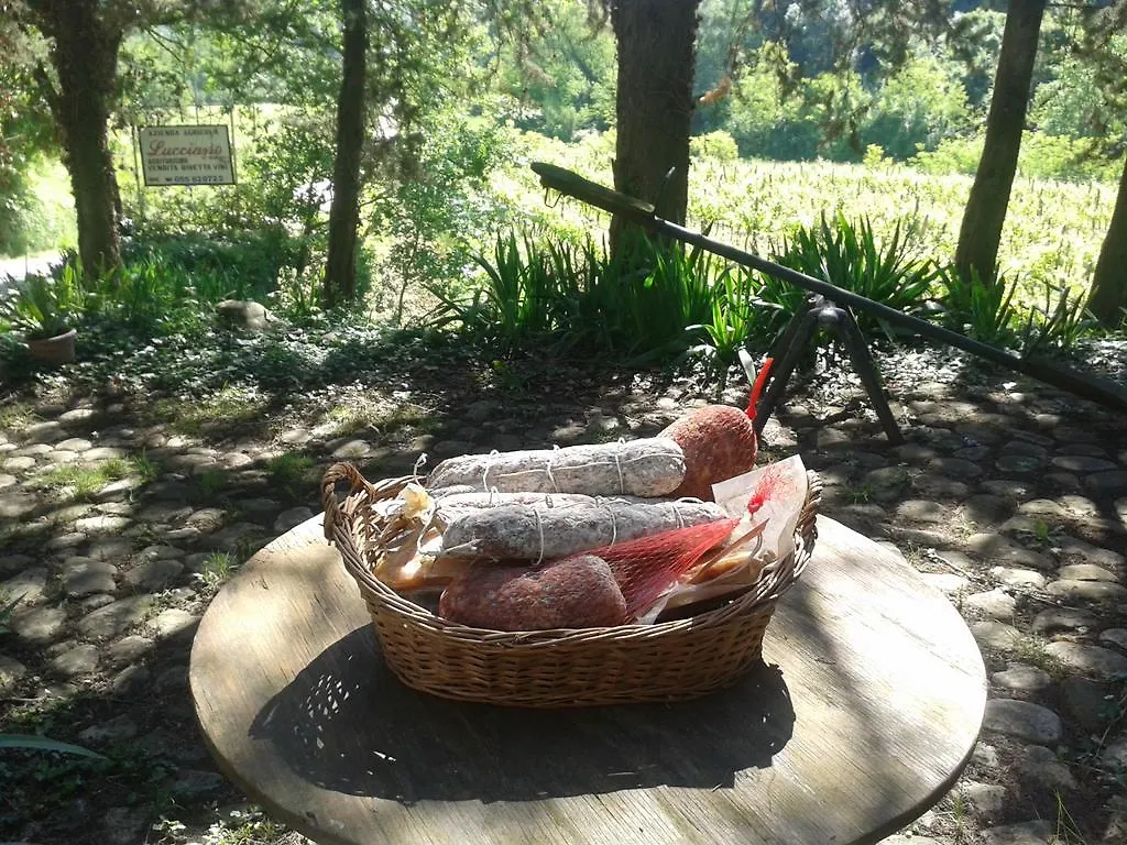 Agriturismo Lucciano San Casciano in Val di Pesa Italy